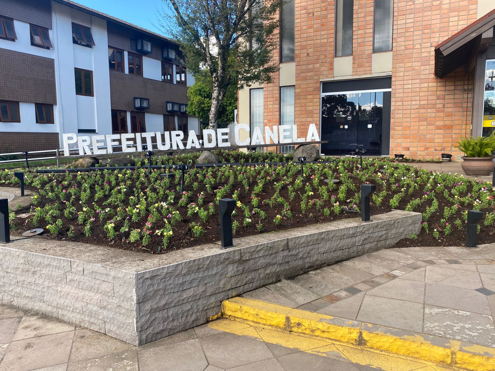 Prefeitura De Canela Realiza Plantio De Mil Mudas De Flores Em