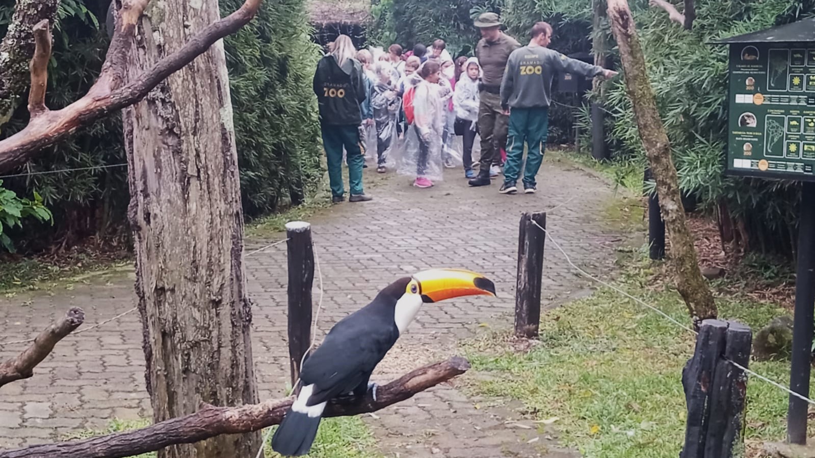 Patram De Canela Realiza Atividade Do Programa Patrulheiro Ambiental