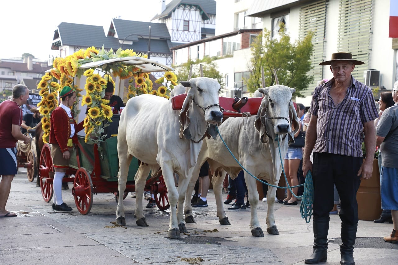 Desfile de Carretas no final de semana da Festa da Colônia Portal da