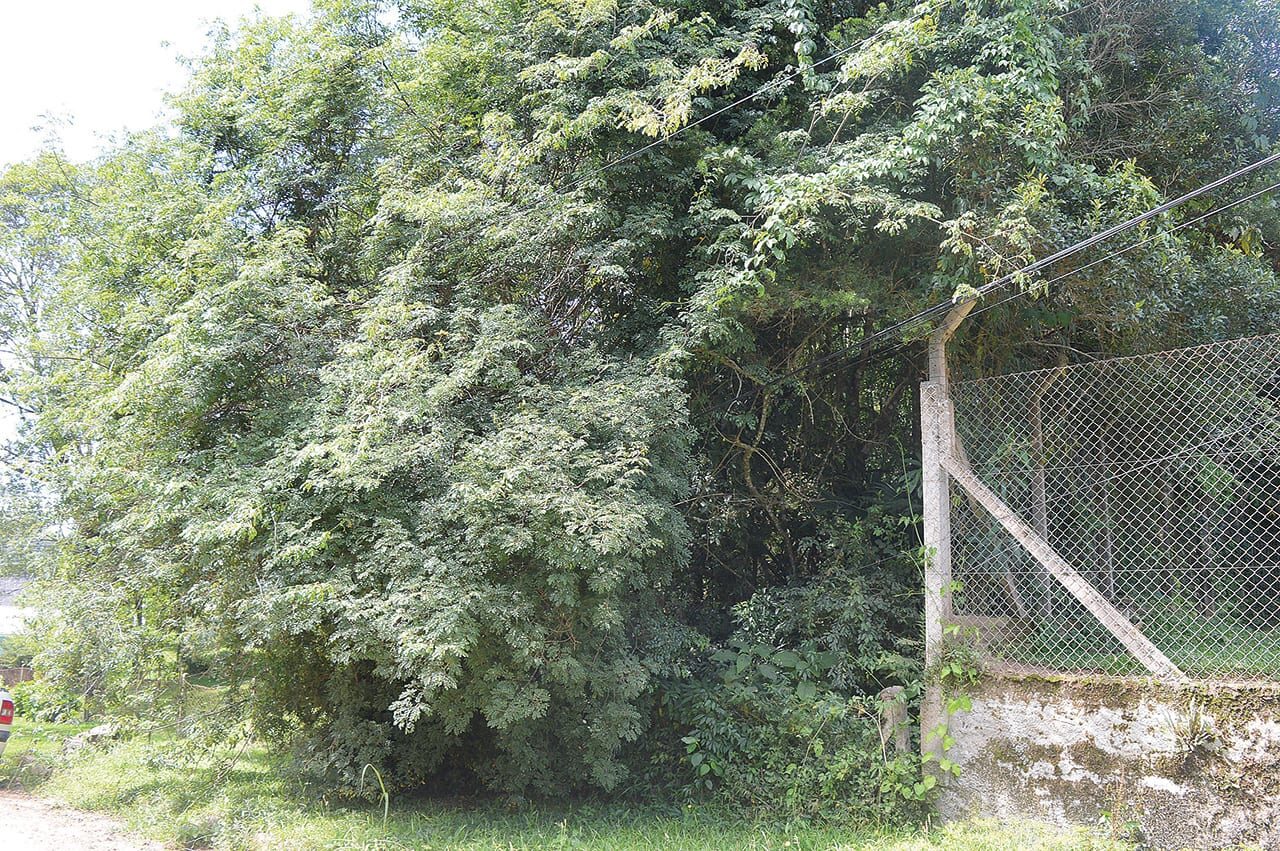 Foto: Filipe Rocha