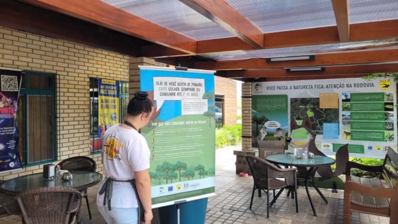 Banners informando sobre os danos da compra antecipada do pinhão estão expostos em diversos locais da região da Rota do Sol - Foto: Divulgação Daer