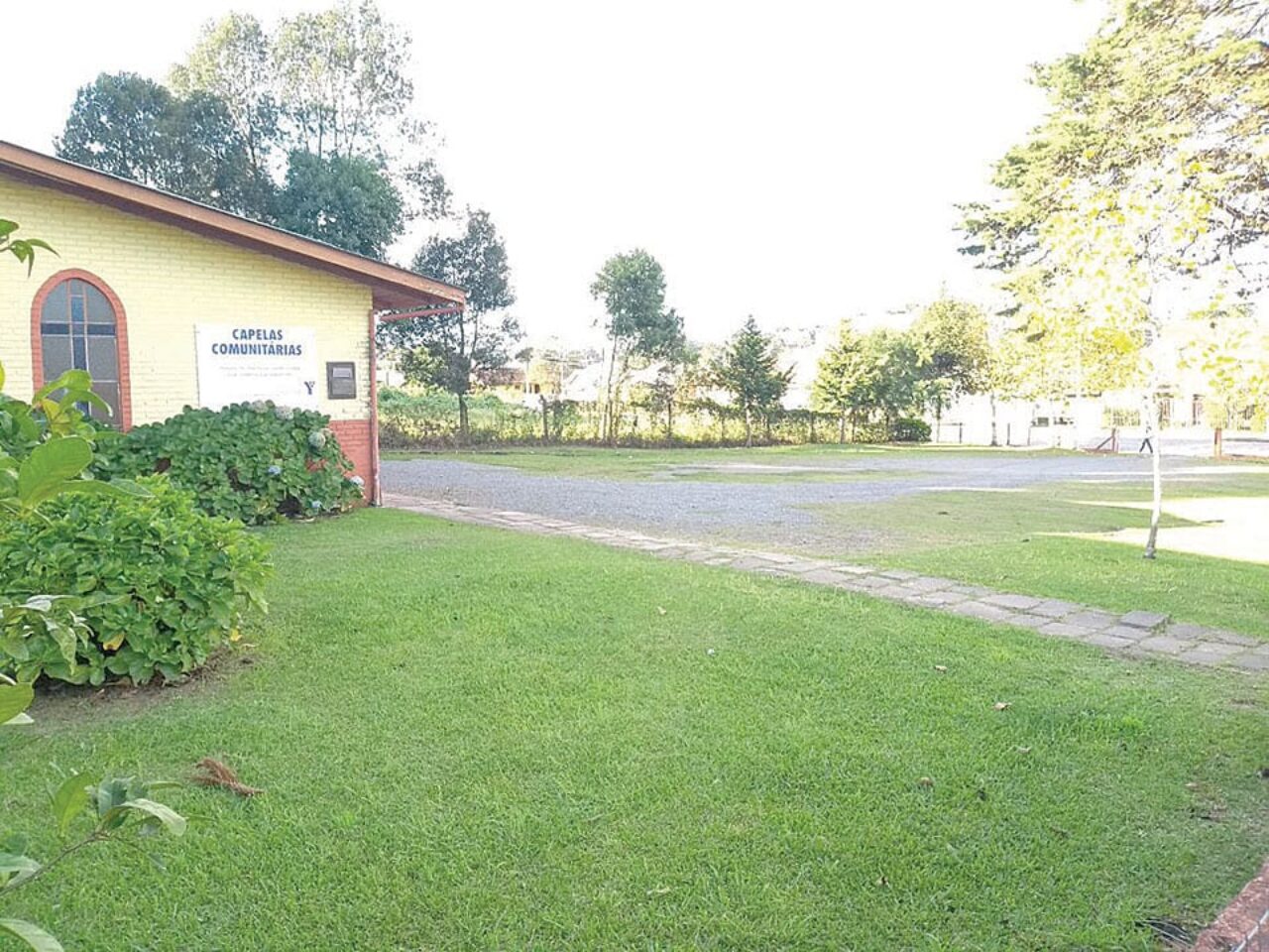 E você, como acha que deveria ser feito?