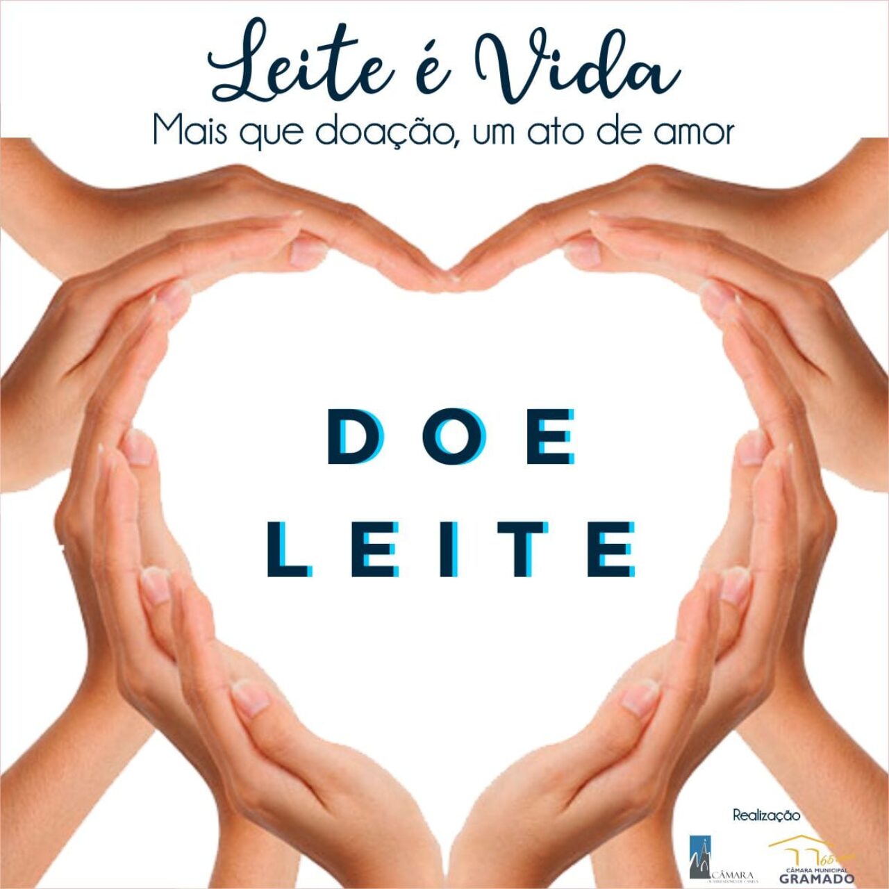 Leite é mais que uma complementação na alimentação das famílias, é uma grande fonte de proteína animal e também representa afeto e acalenta corações