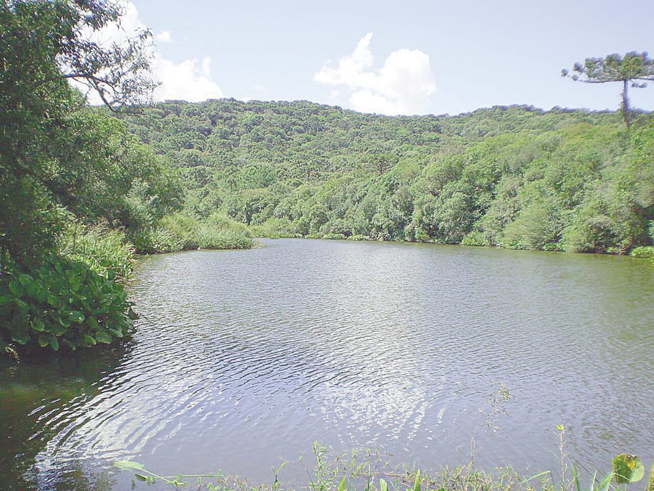 03 - poço da faca