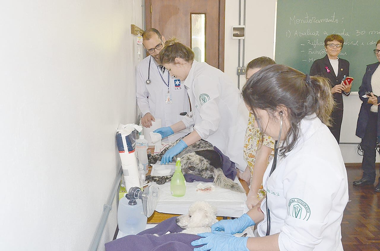 Foto: Reprodução - Castramóvel da UCS estará no bairro São Luiz