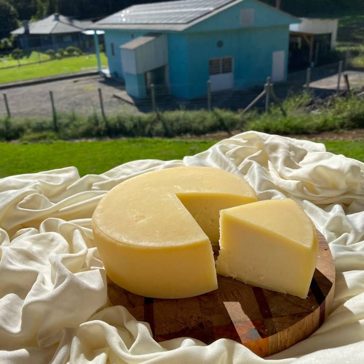 1 Queijo Colonial