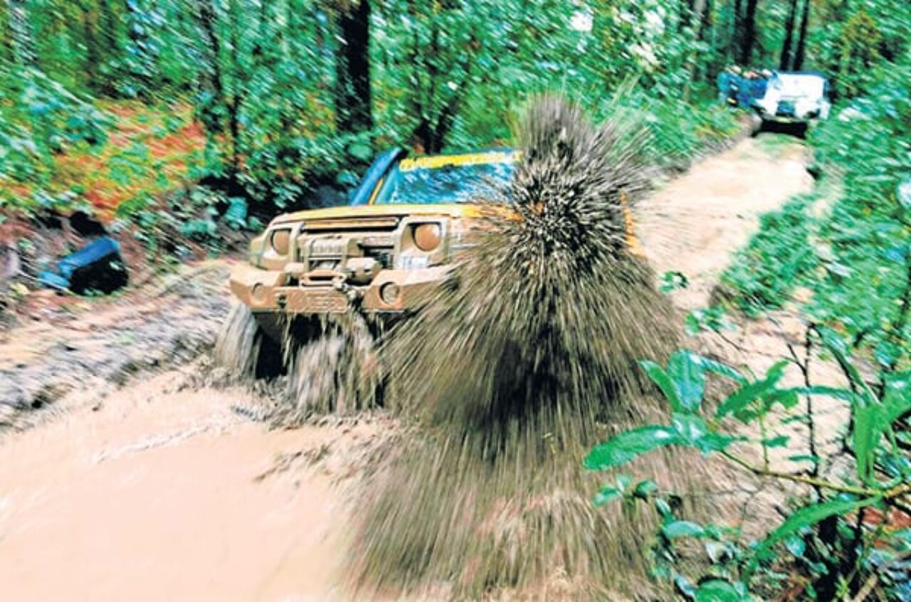 Foto: Aline Ben da Costa/Comunicação 4x4