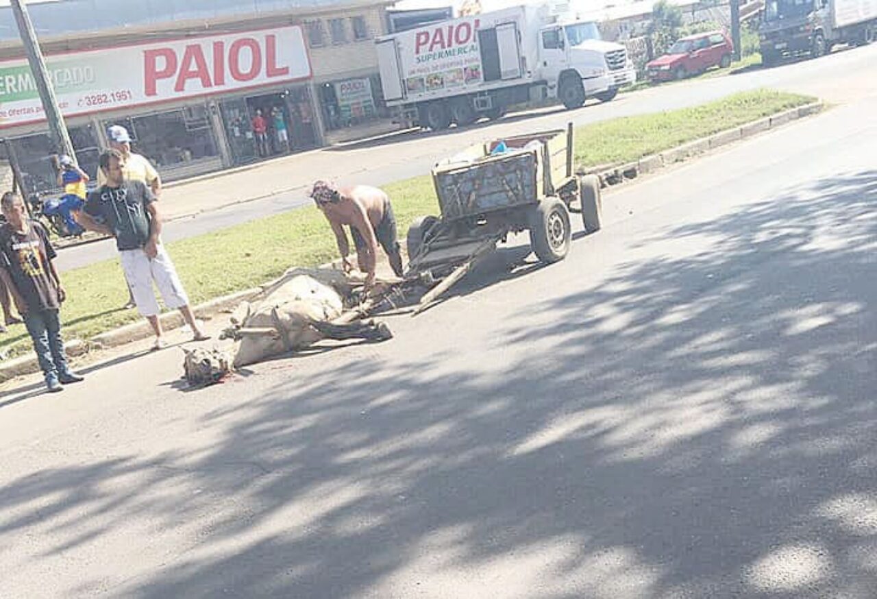 Fotos: Reprodução