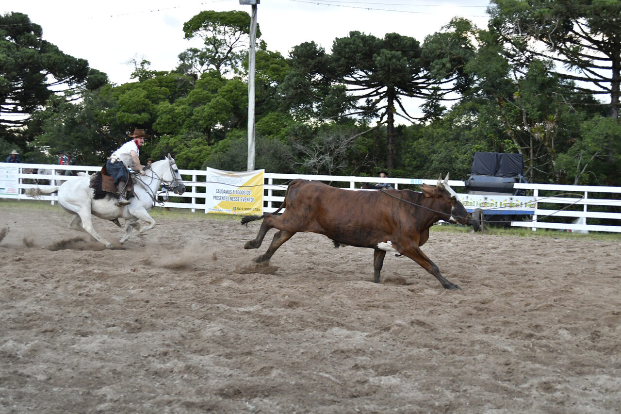 Fotos: Diego Santos