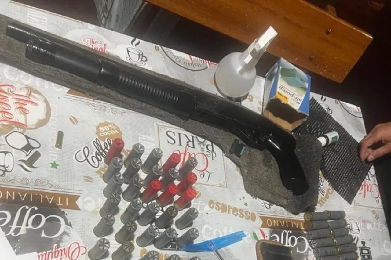 Foto: Divulgação