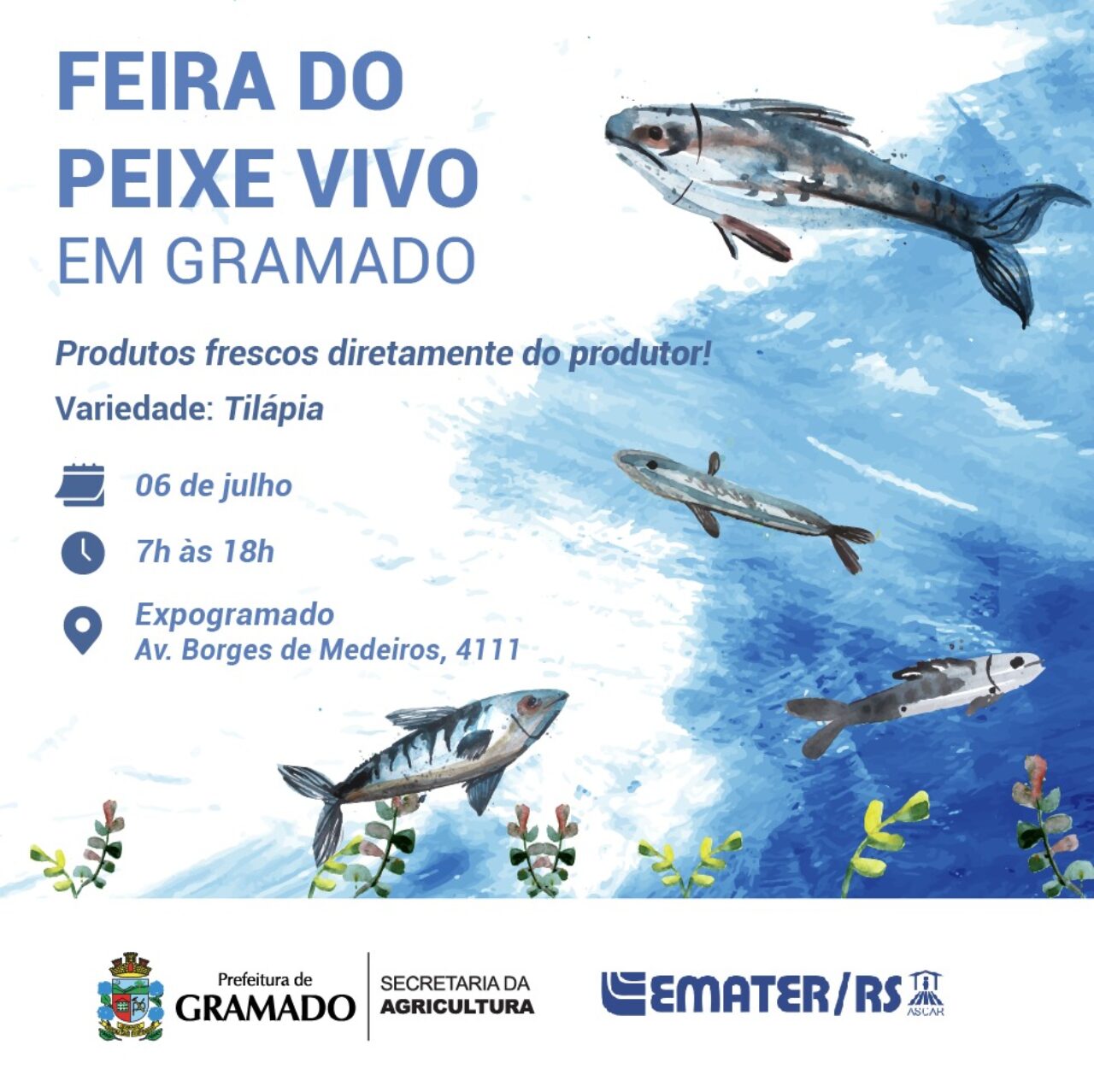 3-feira-do-peixe-vivo