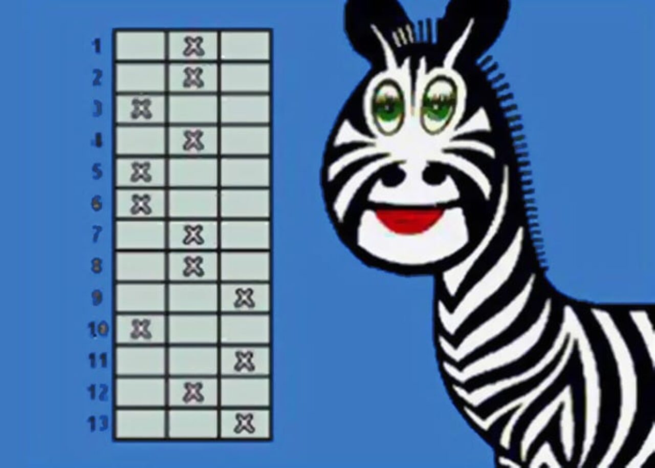 360 - deu zebra