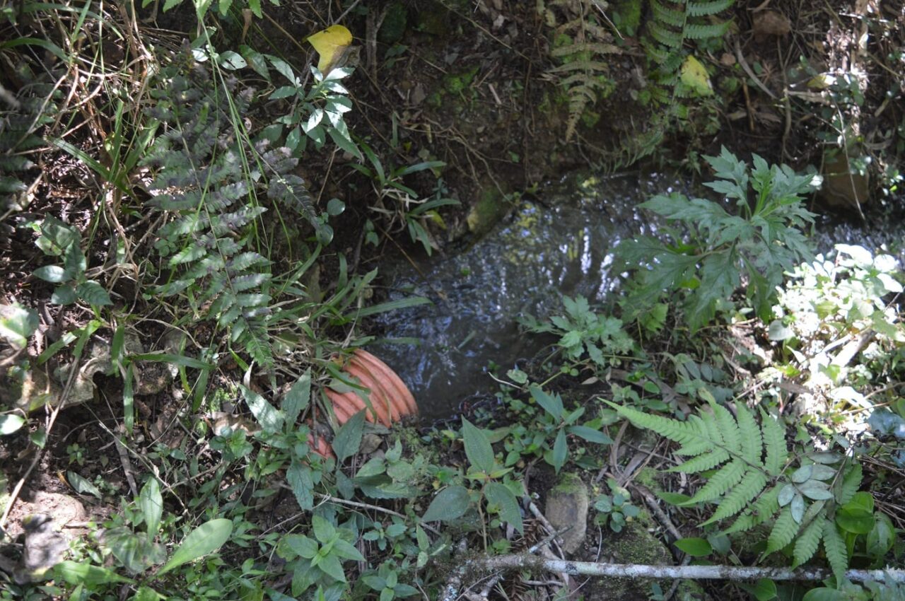 Esgoto sem tratamento está sendo lançado direto na natureza