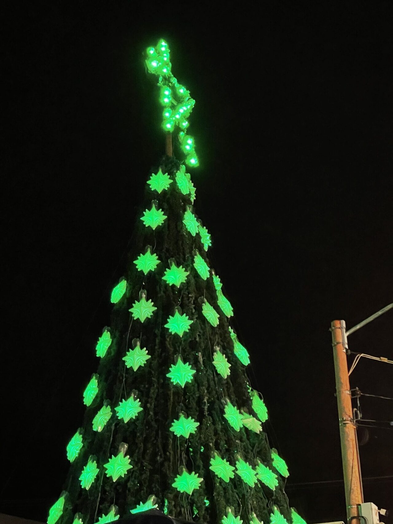 415401_1039016_400263_994297_cdl_sapiranga_natal_taquara__17_b