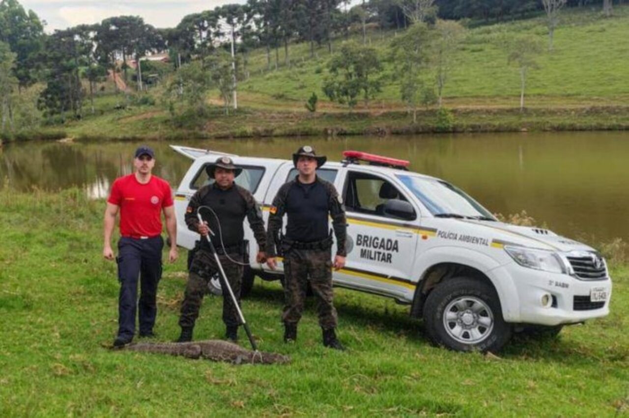 Foto: Divulgação.
