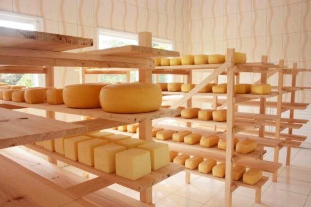 Queijo serrano é um dos produtos beneficiados pelo programa escolhido para concorrer ao Prêmio.