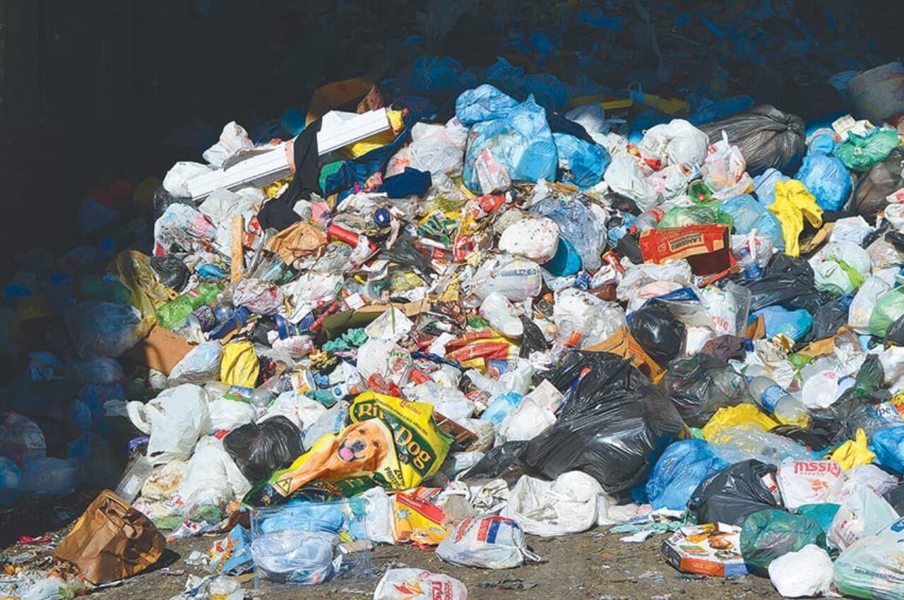 Foto: Francisco Rocha – Cidade recicla menos de 5% de todo o seu lixo