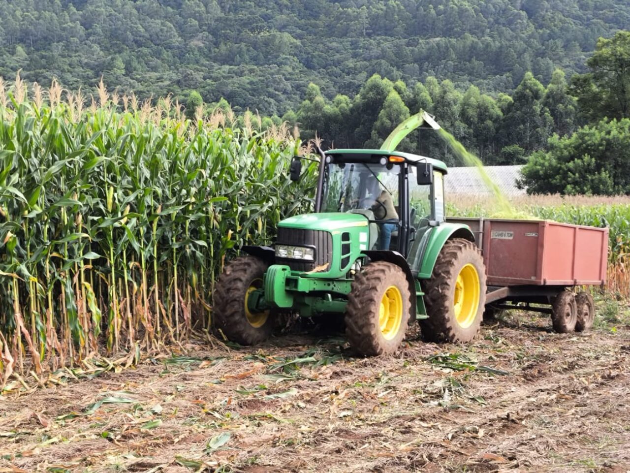 Agricultura (1)