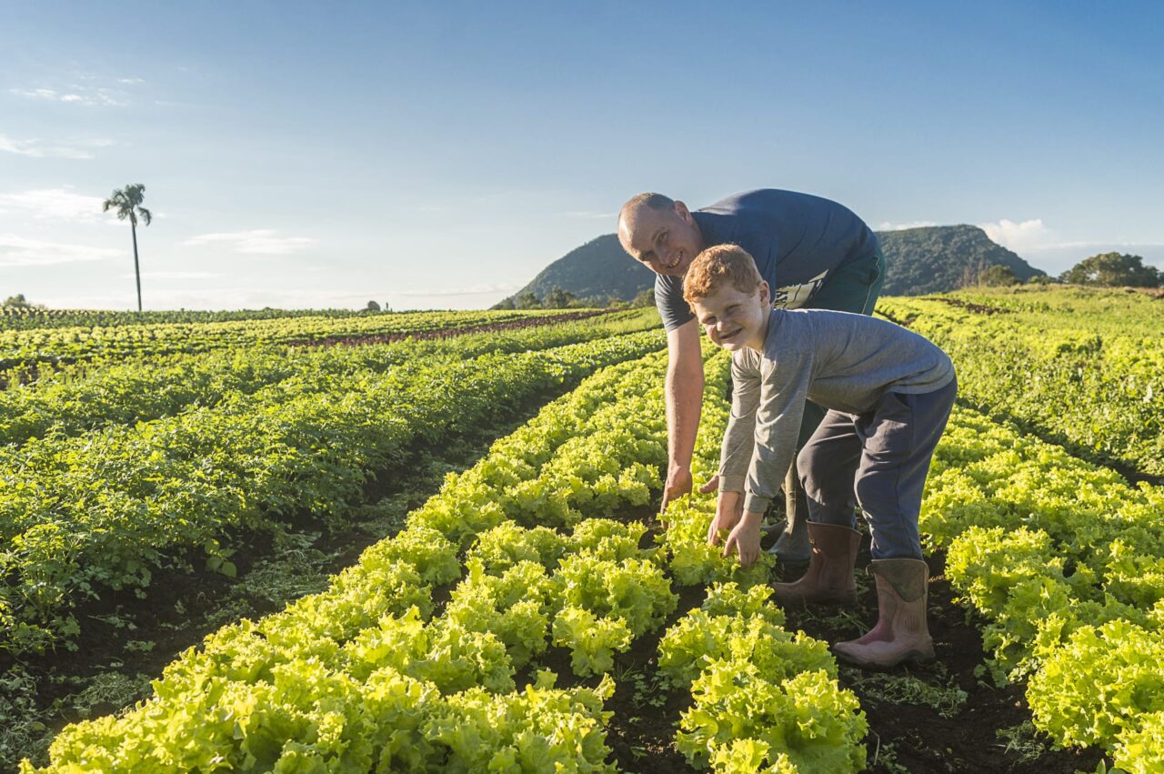 Agricultura Gramado
