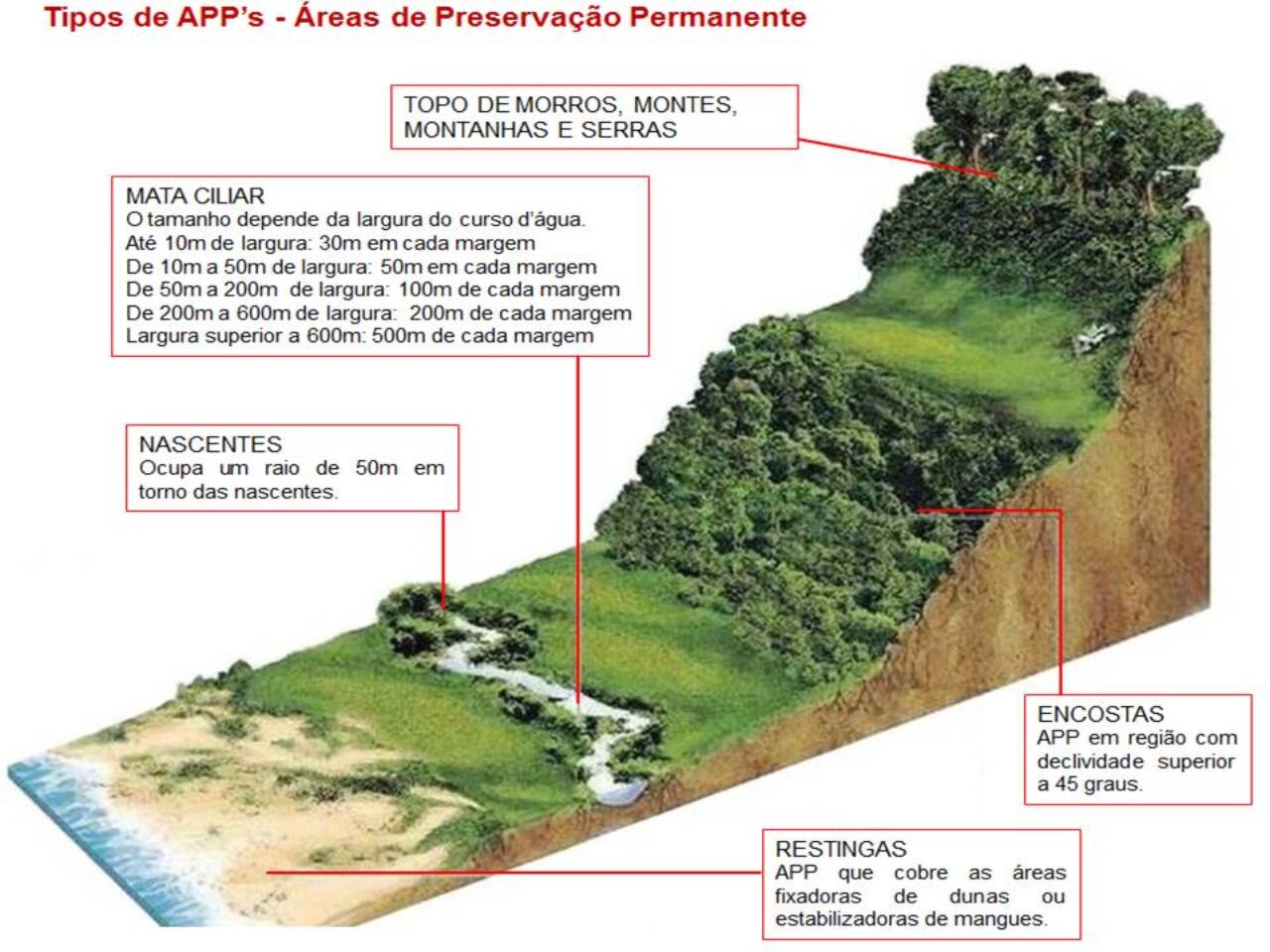 Alberi Dias encaminha projeto para isentar IPTU em Áreas de Preservação Permanente