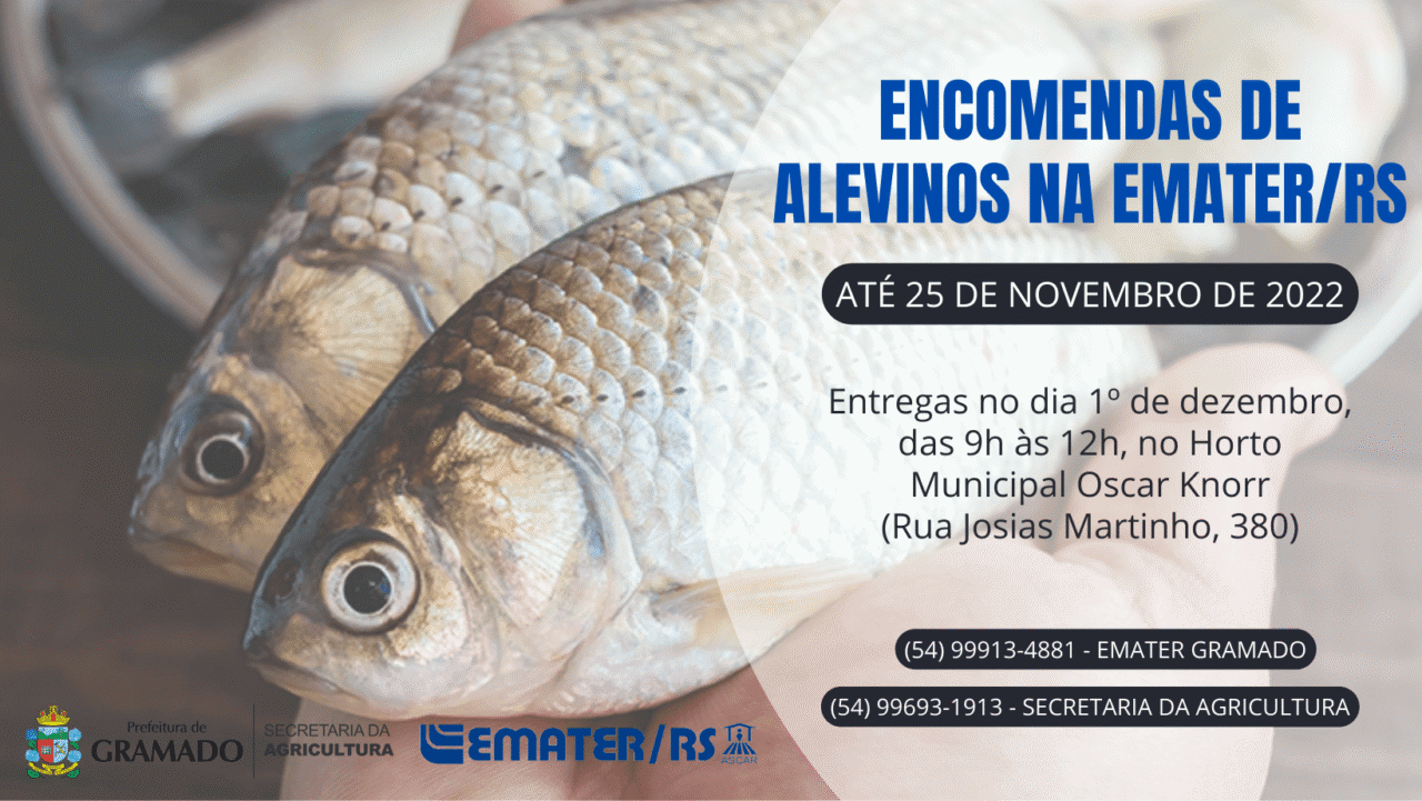Alevinos-1