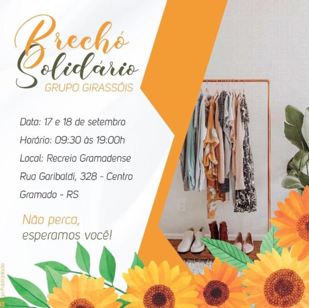 Brecho Girassois