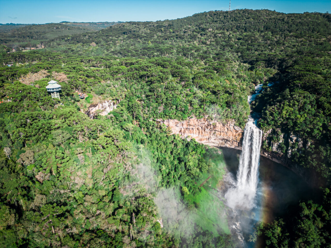 CANELA---PARQUE-DO-CARACOL-4--1-