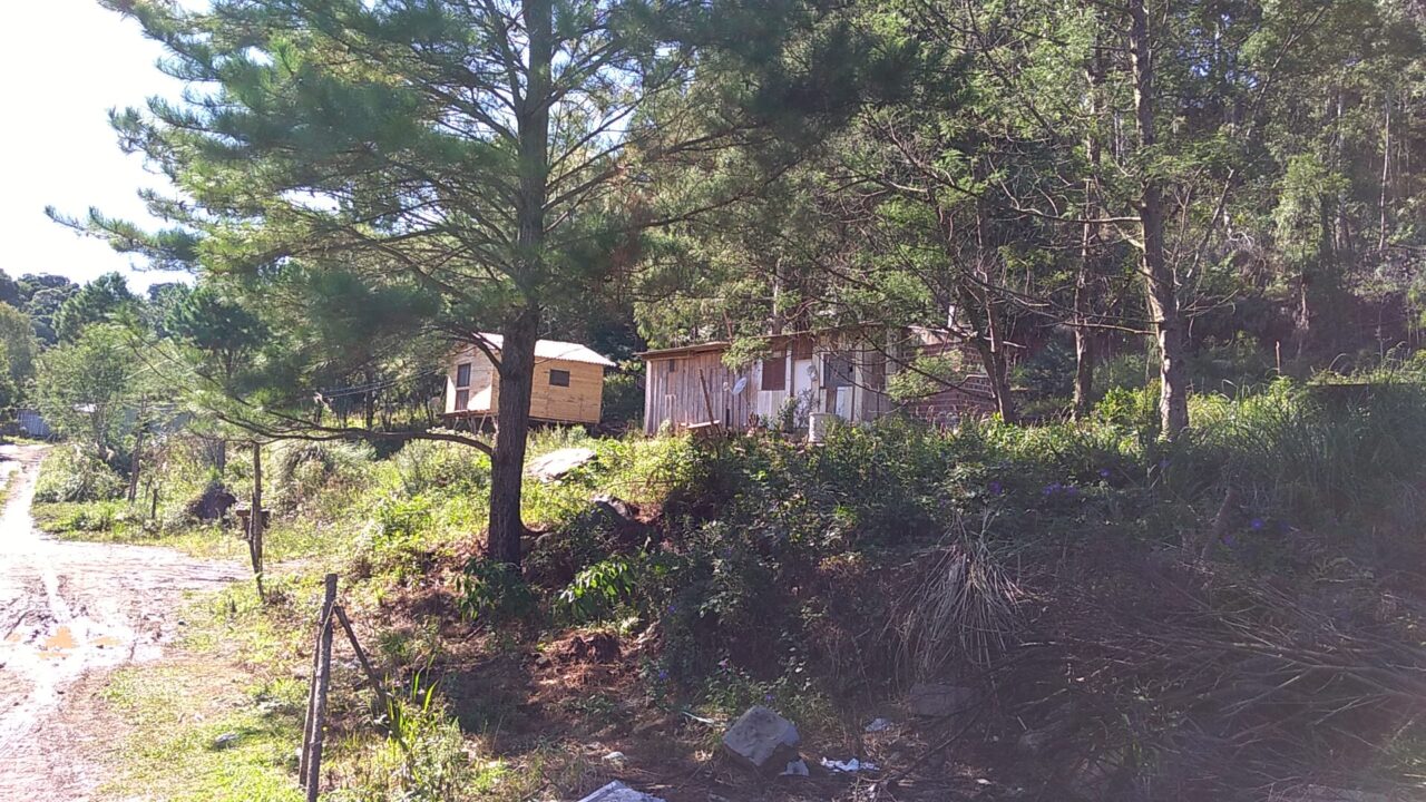 Fotos: Reprodução - 12 mil pessoas moram em áreas irregulares. Confira quantas e quais são, em reportagem especial