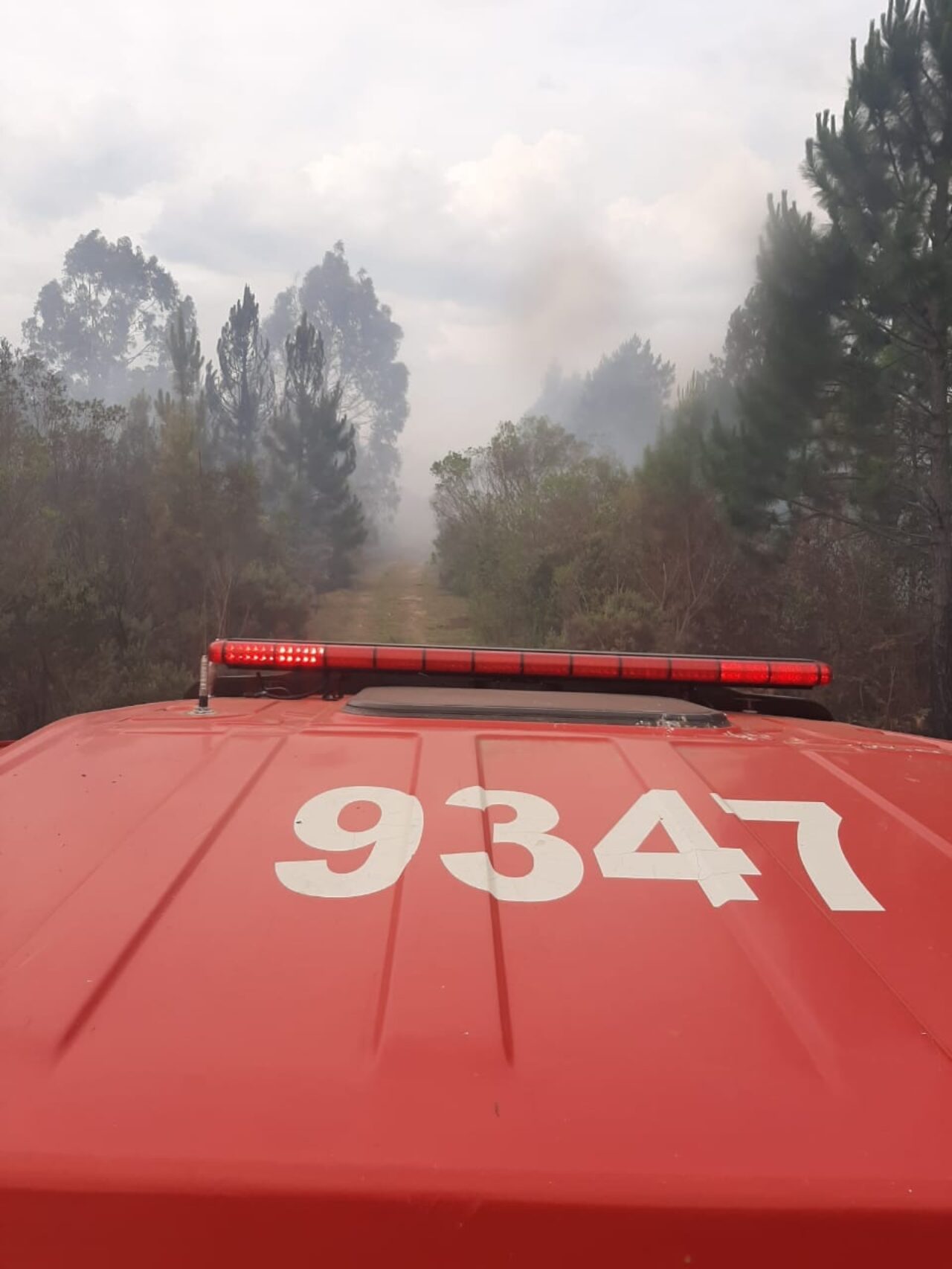 CBMRS Incêndio Floresta Ibama