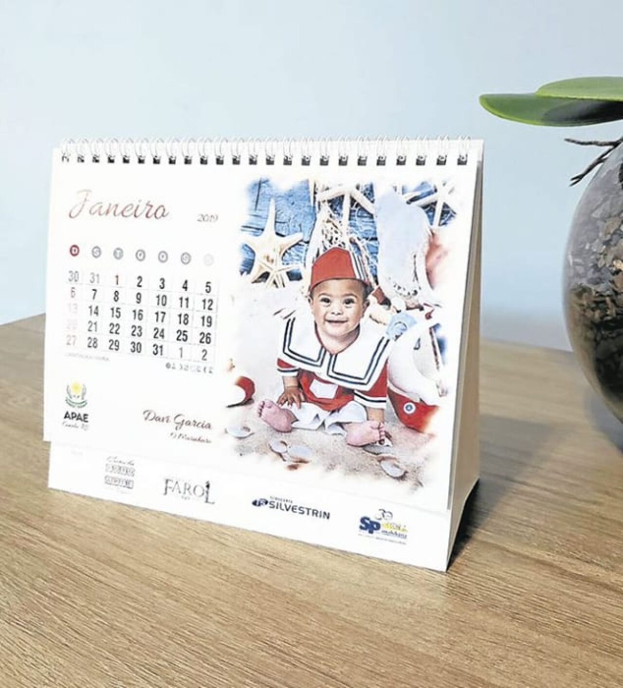 Foto: Reprodução - Calendário 2019