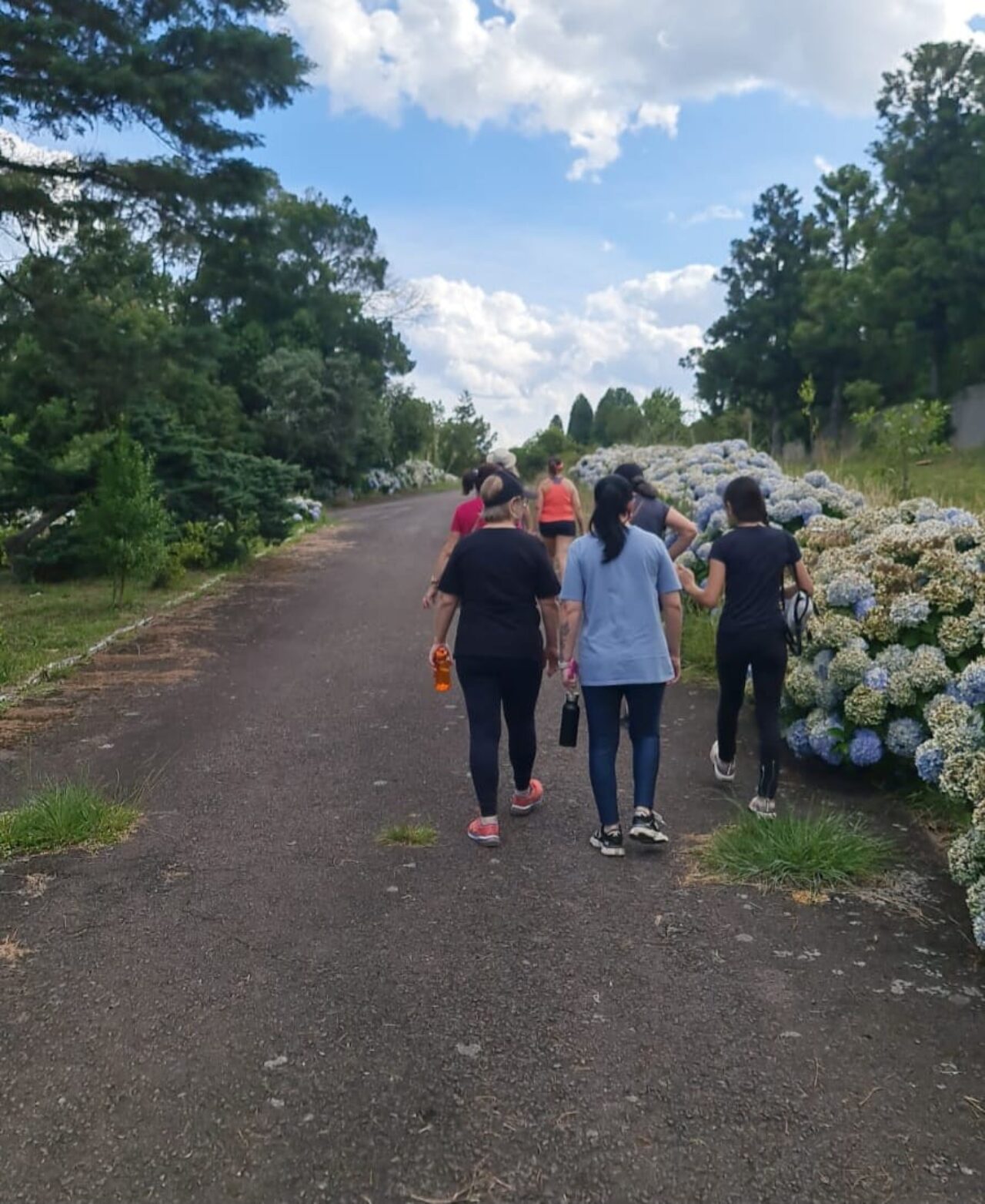 Caminhada pela Vida