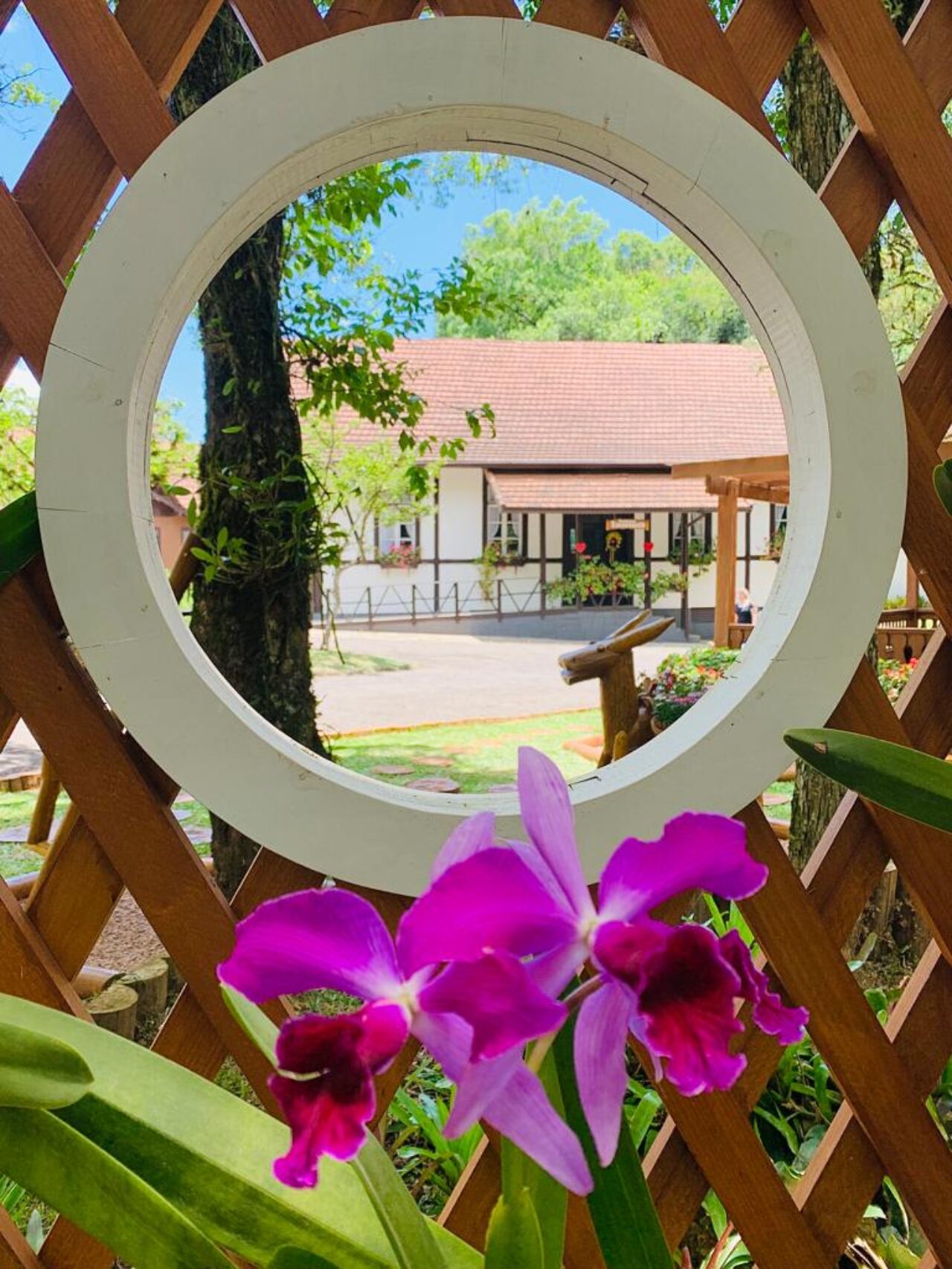 Caminho das Orquídeas