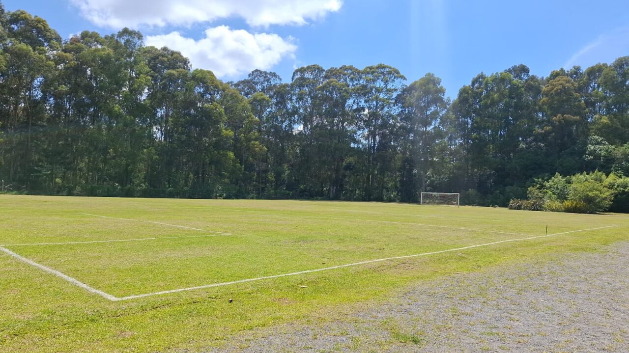 Campo da Celulose