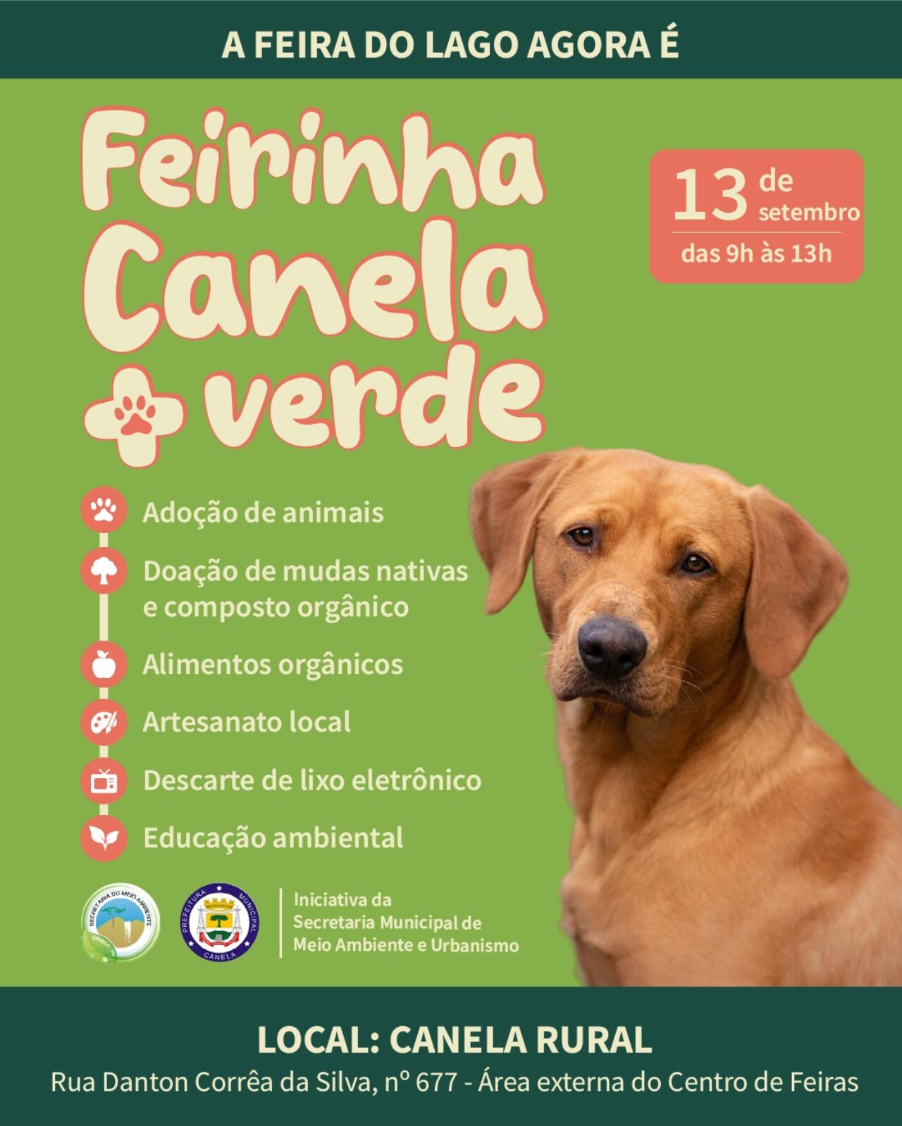Canela + Verde