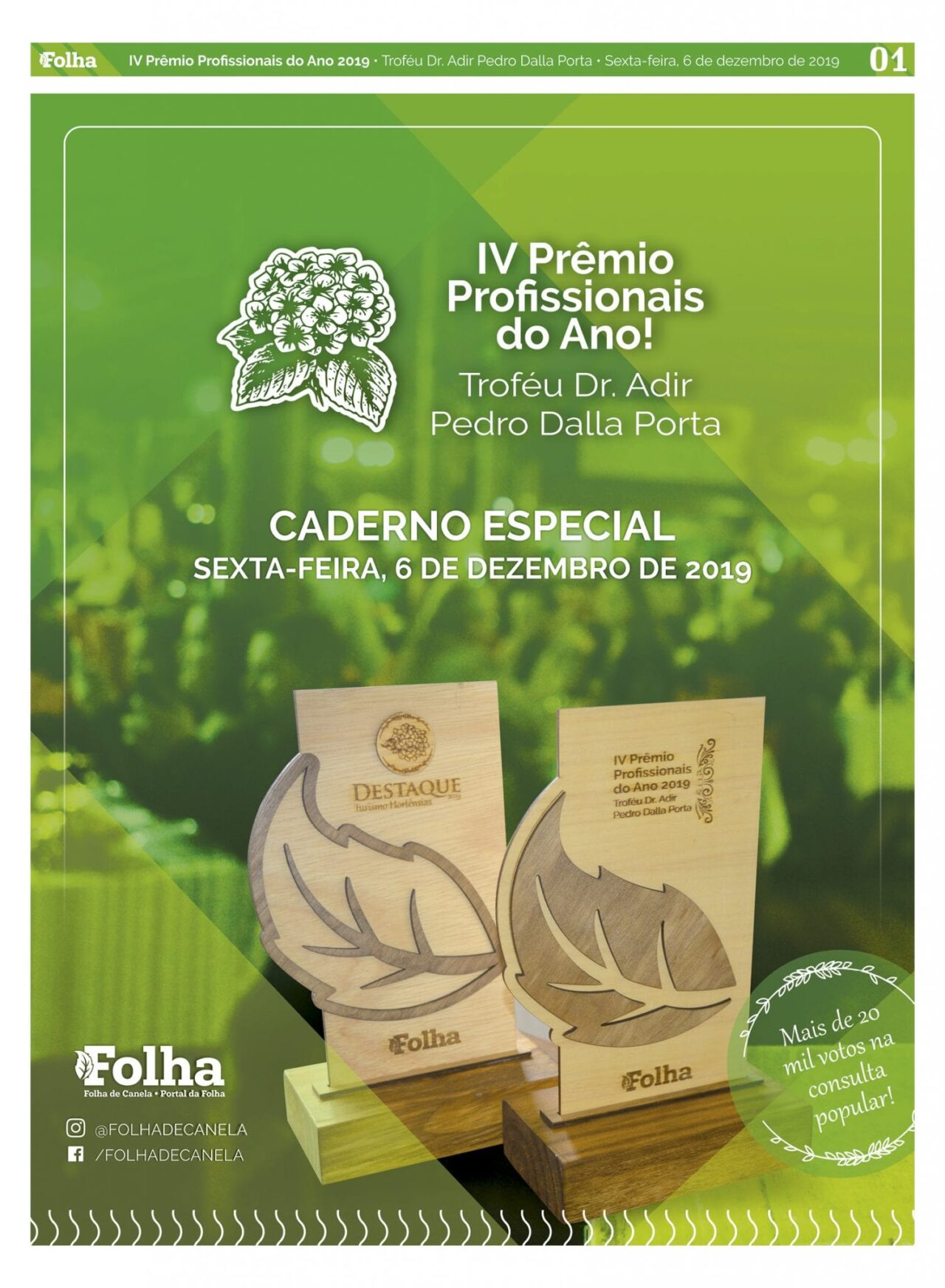 Capa Profissionais 2019