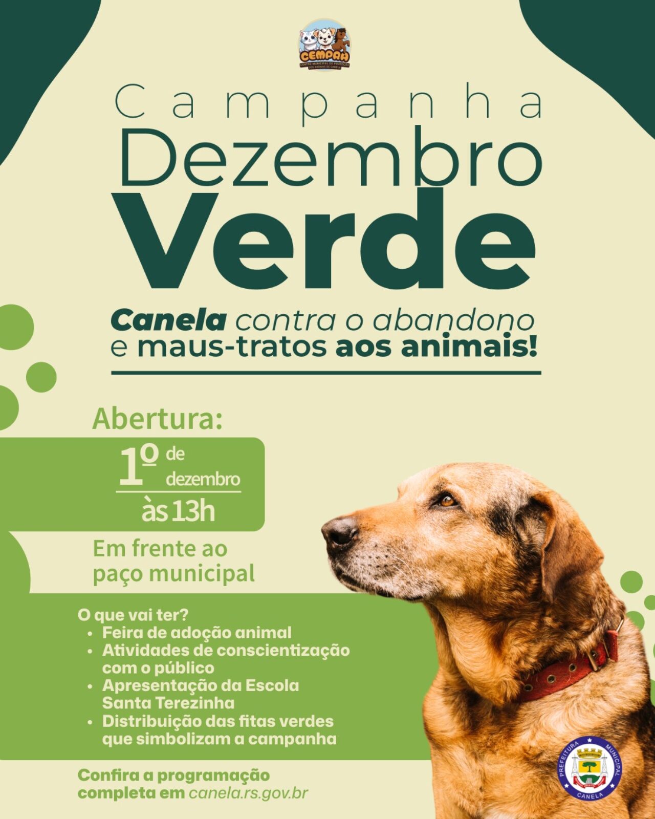 Card Dezembro Verde