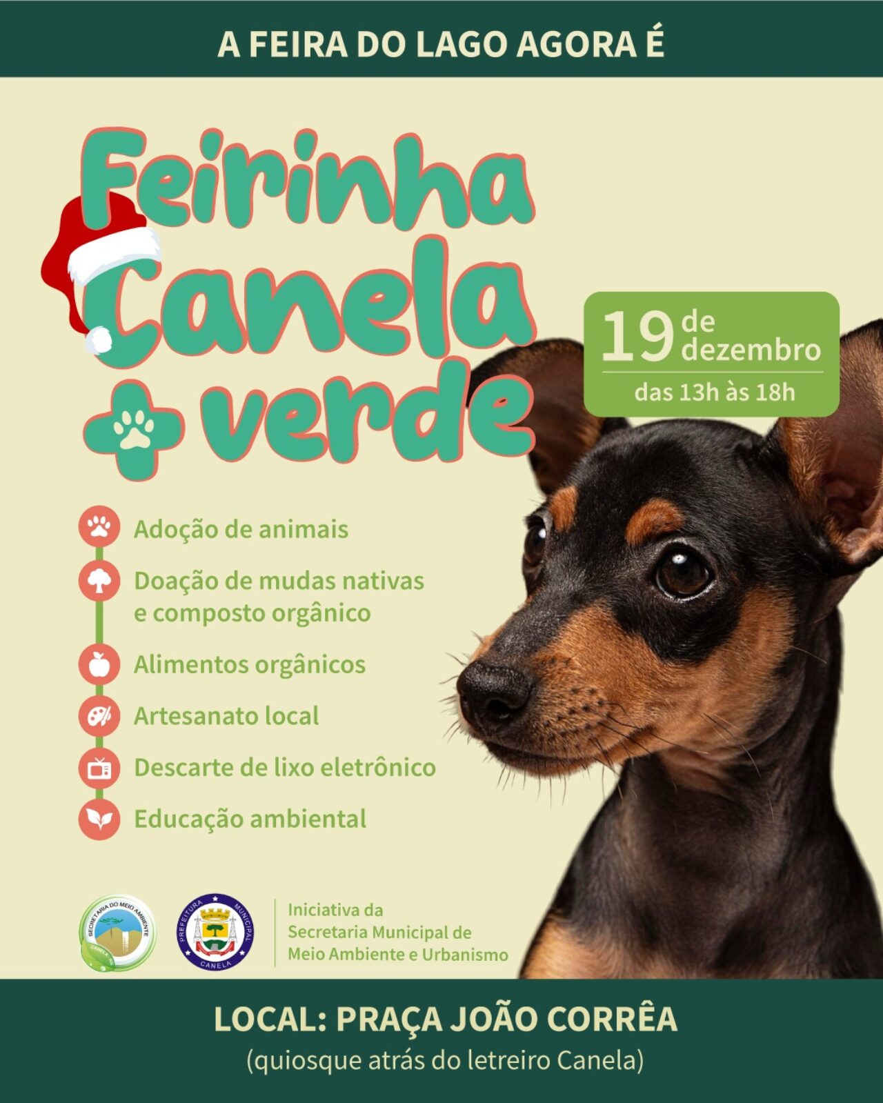 Card Feira Canela + Verde