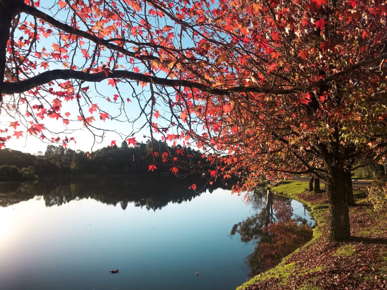 Lago São Bernardo/São Francisco de Paula
Carolina Andriola