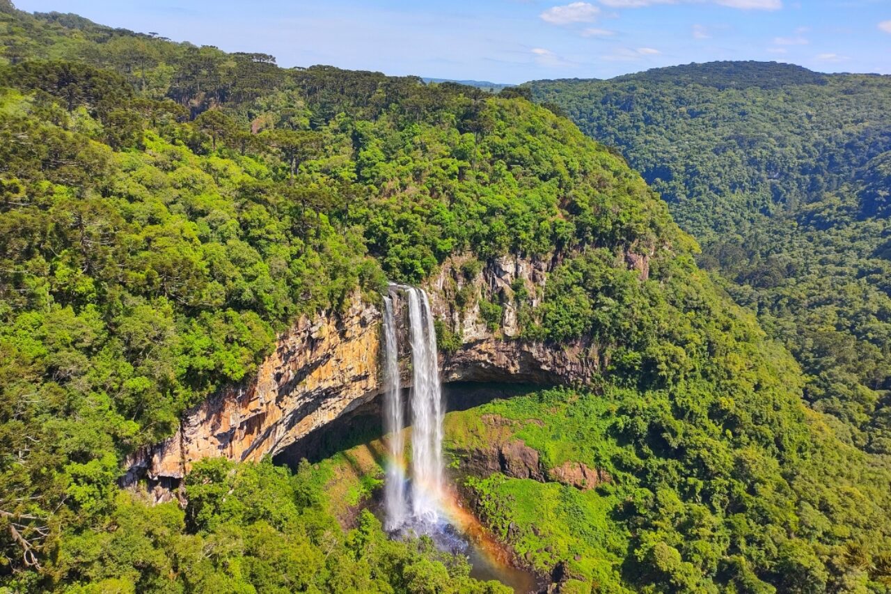 O projeto "Saber Caracol" será lançado na próxima segunda-feira, 31 de março.
Agência Penso