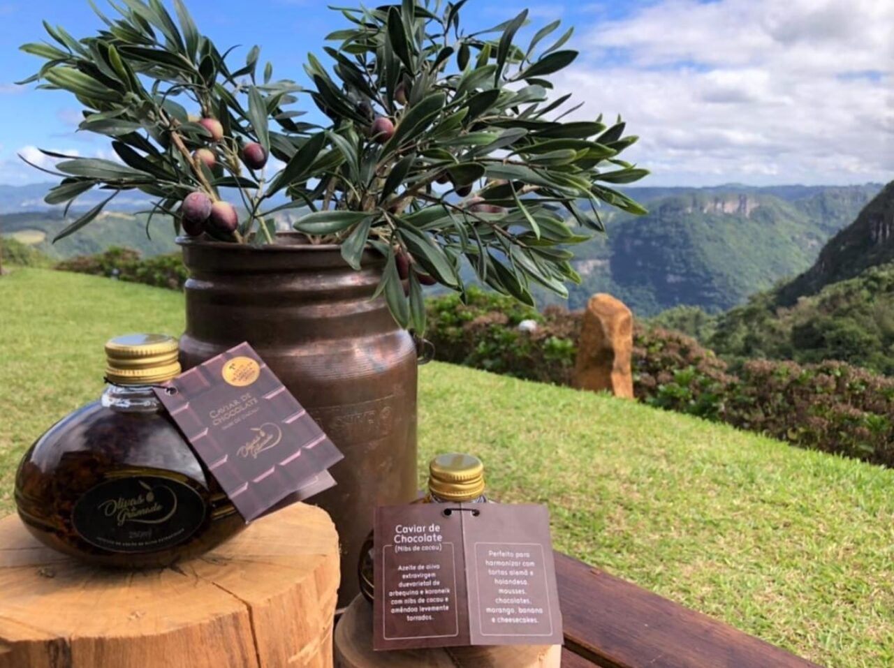 Olivas de Gramado tem o primeiro azeite aromatizado com nibs de cacau da América Latina. Foto de Túlio Rodrigues / Olivas de Gramado