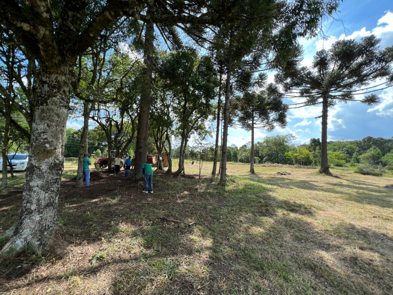 Foto: Terreno recebeu limpeza e está sendo conservado para receber a obra.