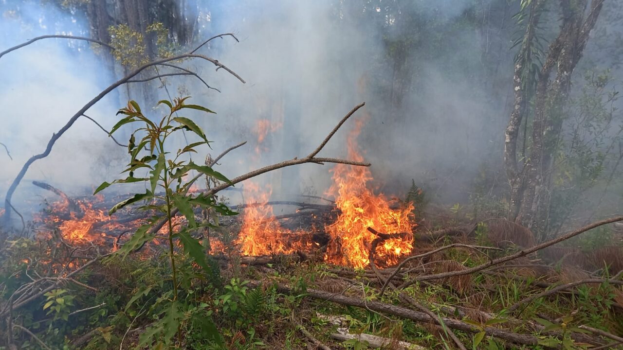 Corpo de Bombeiros de Canela combatem fogo ambiental de grandes proporções