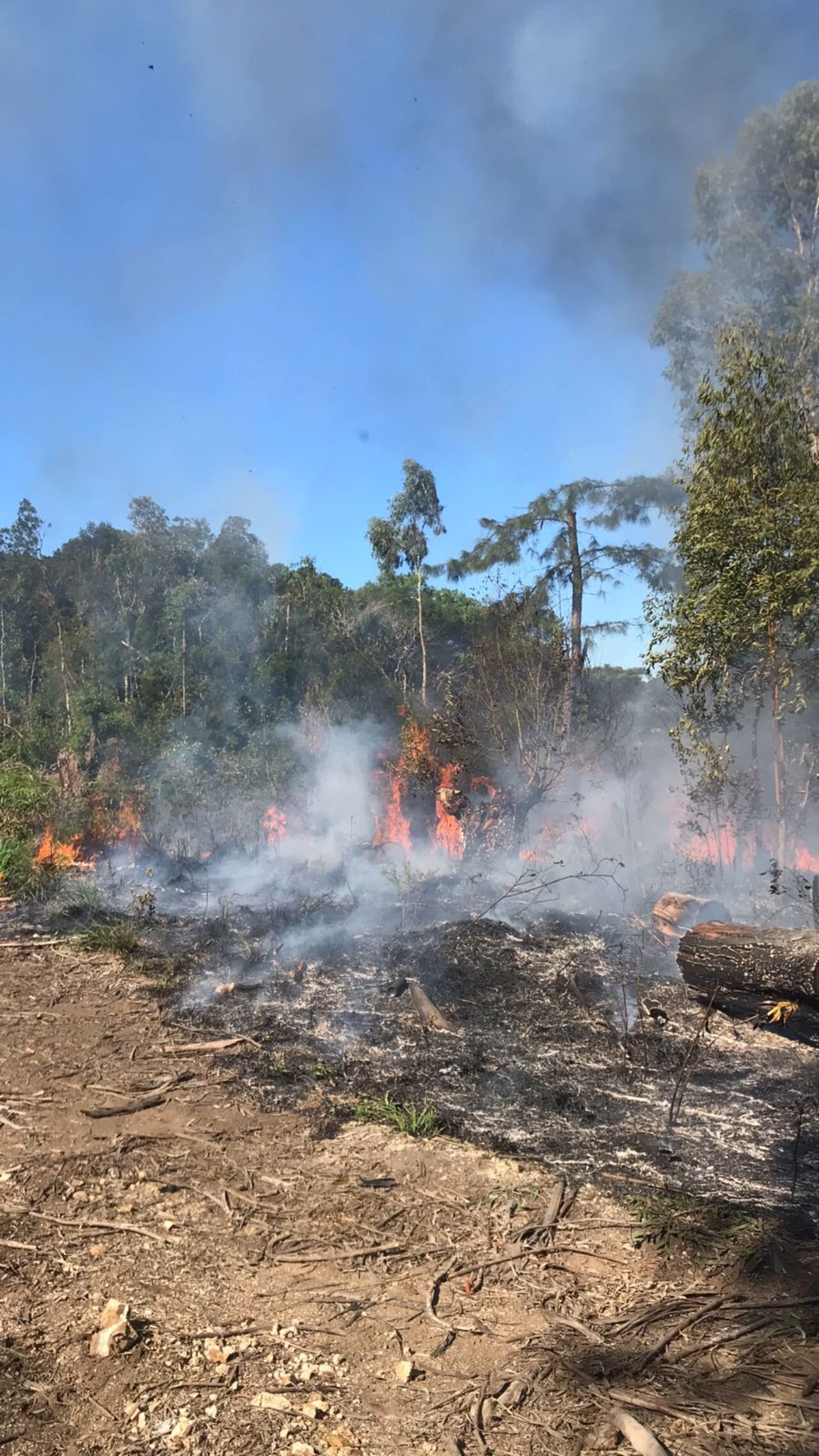 Corpo de Bombeiros de Canela combatem fogo ambiental de grandes proporções2