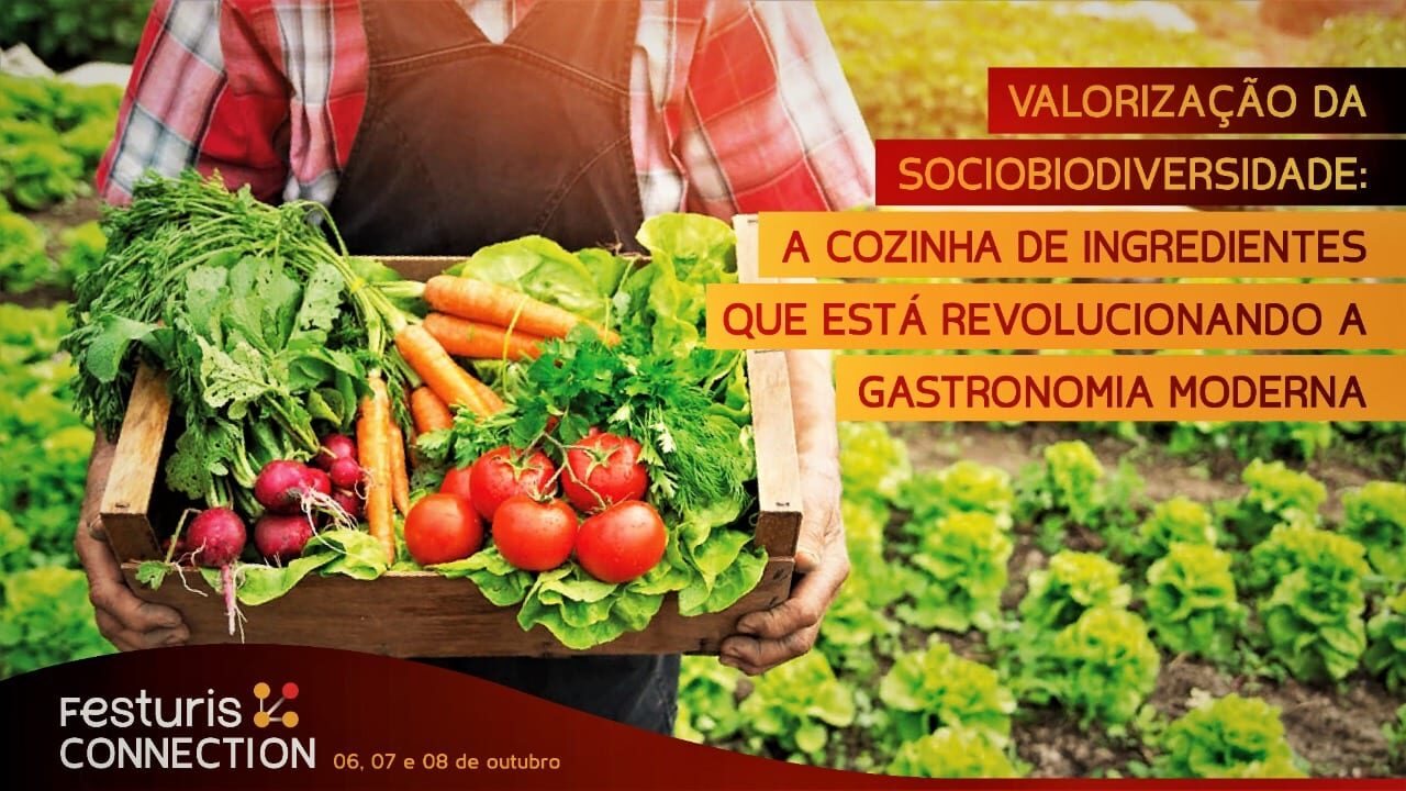 Cozinha de Ingredientes