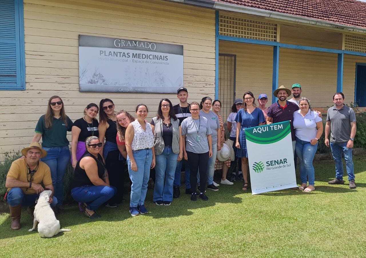Curso-plantas-medicinais