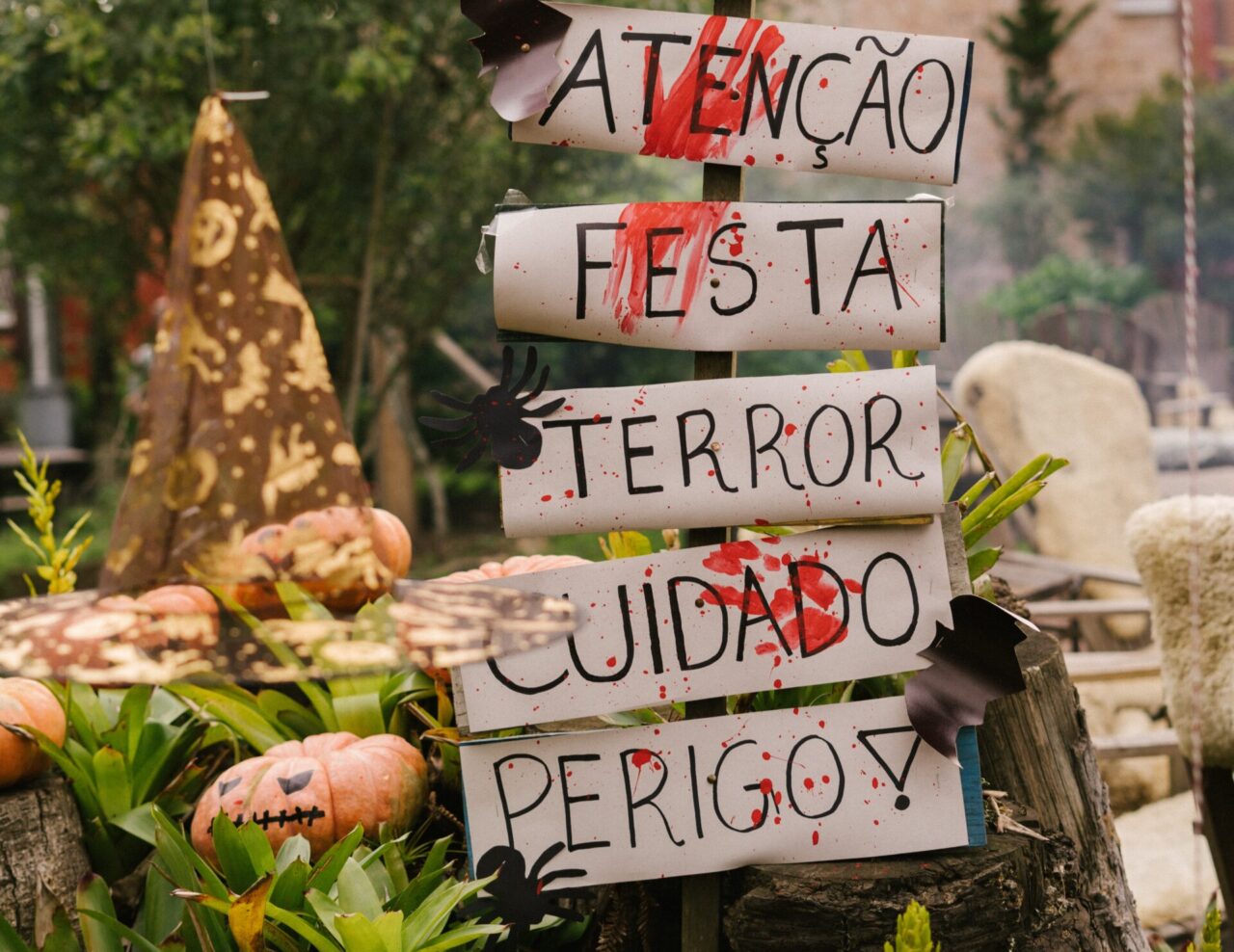 Divulgação