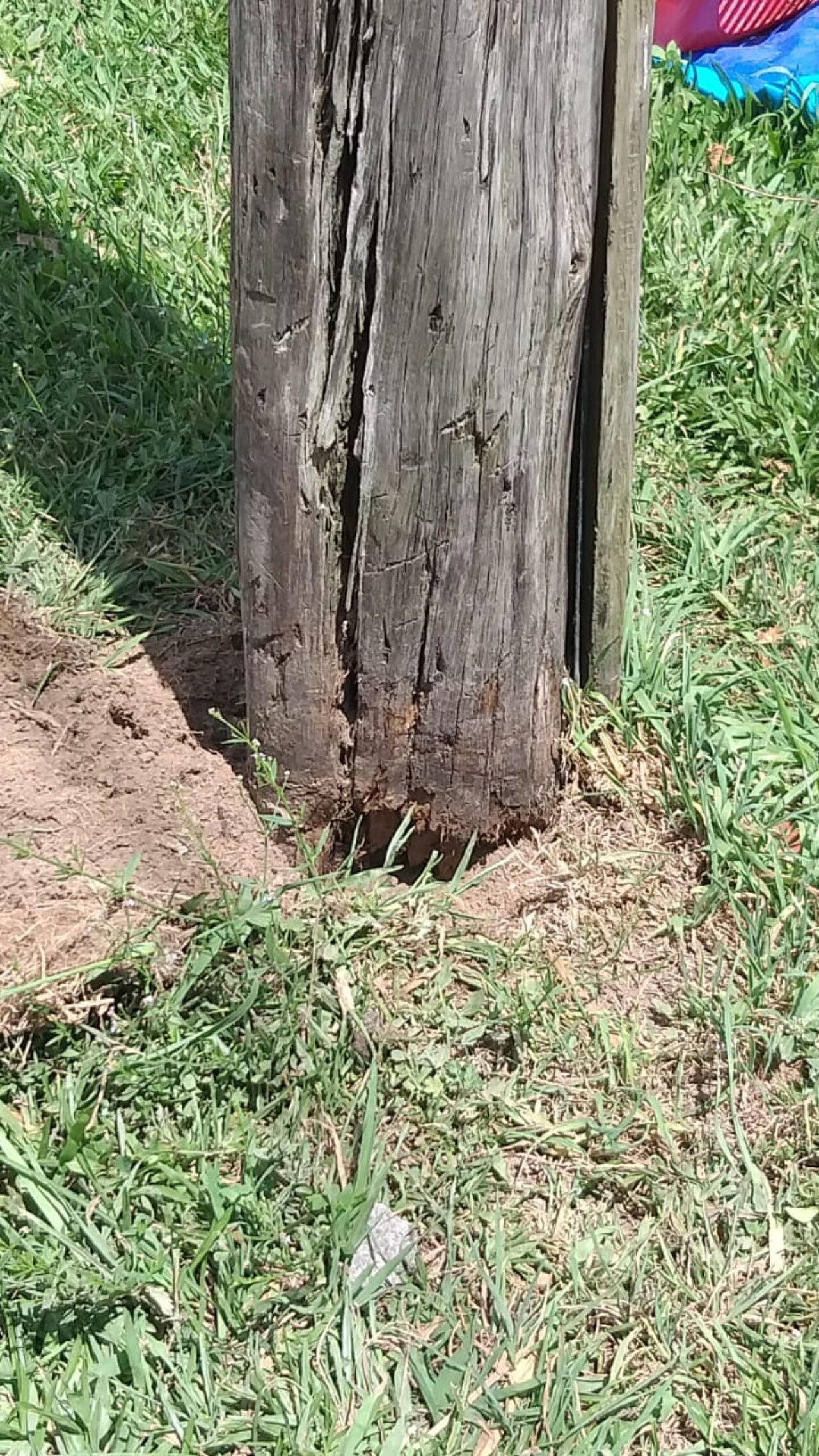 Denúncia - Família no bairro Canelinha está sem energia elétrica desde o vendaval do dia 18