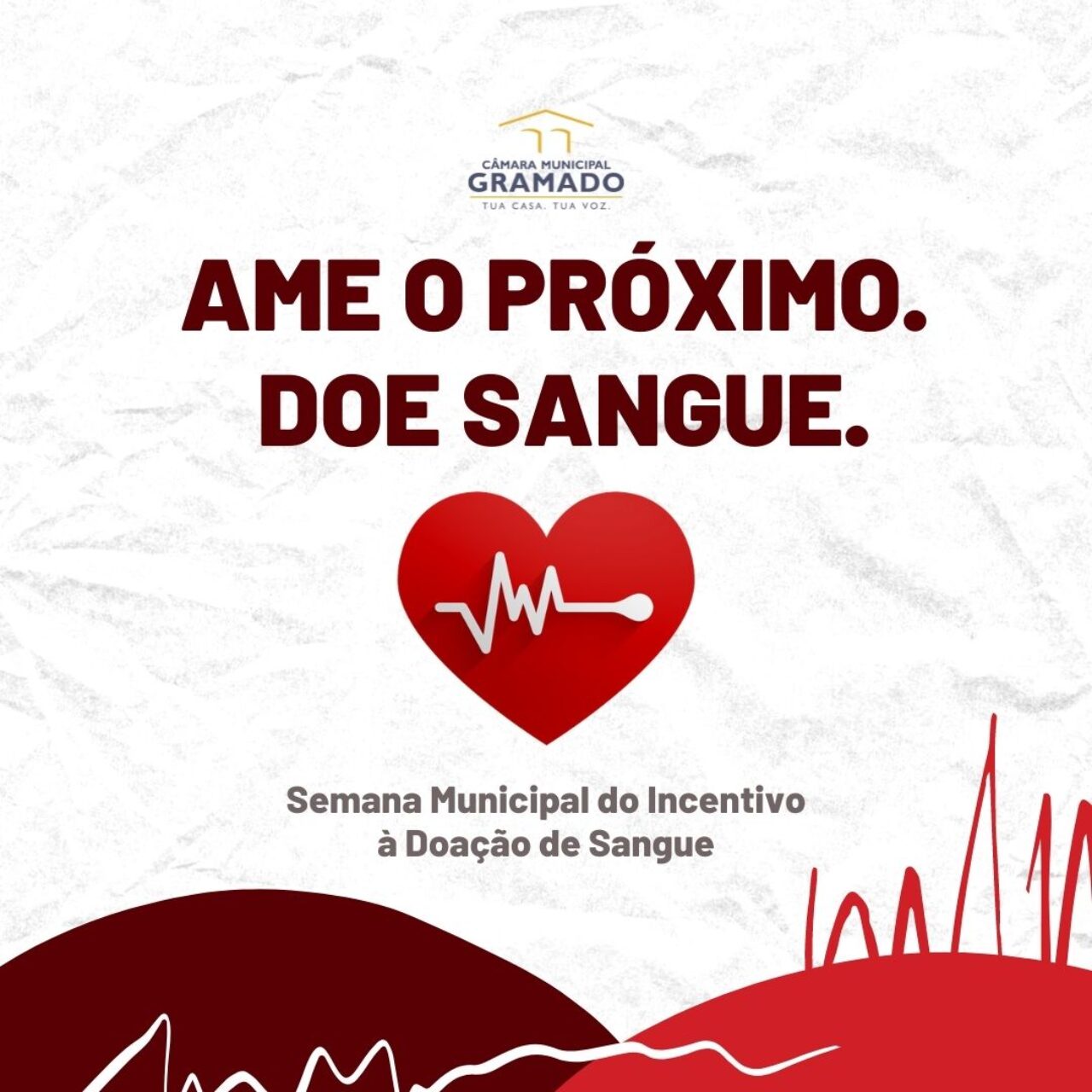 Dia 18.11
