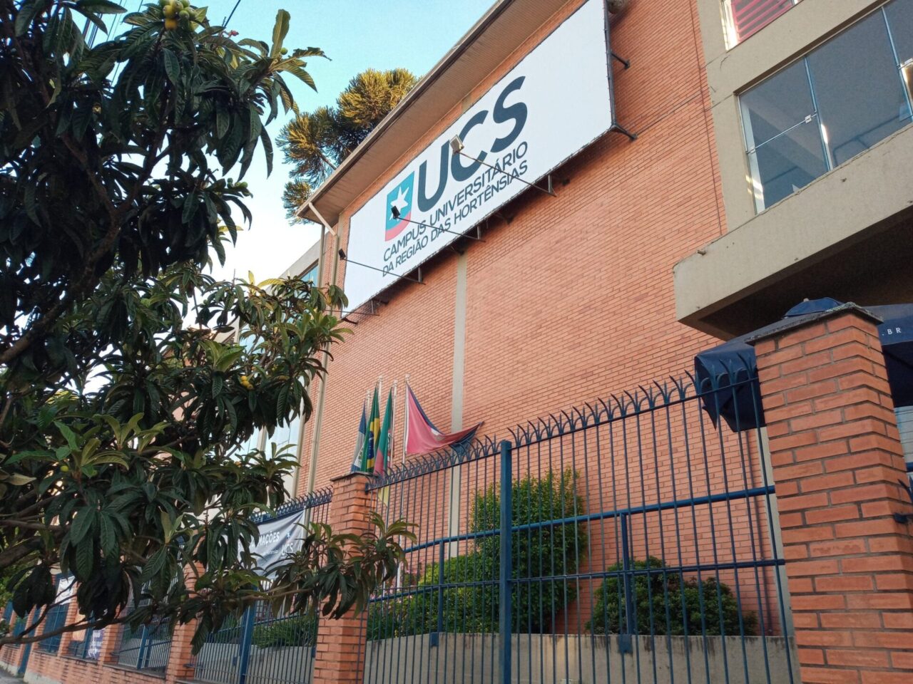 Direito e Ciências Contábeis são 4 estrelas em guia nacional