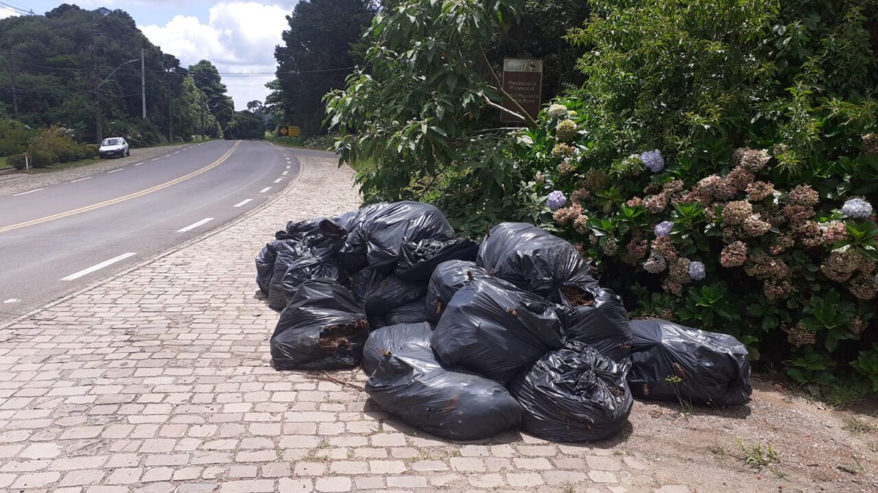 Divulgação Resíduos Verdes